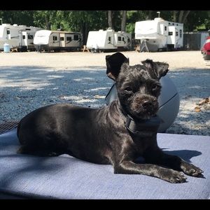 Meet your Posher, Scott